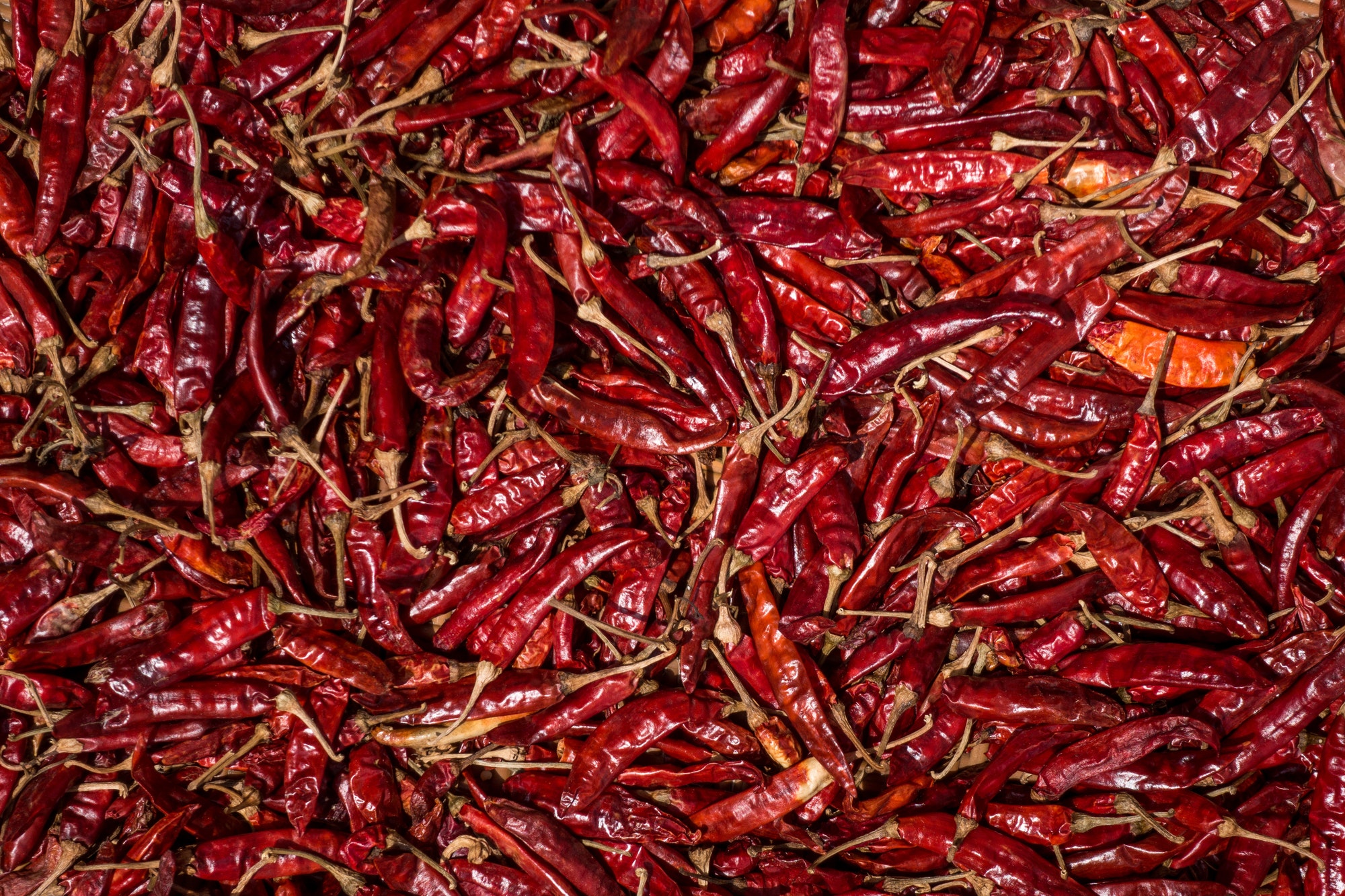 Dried red chillies